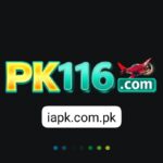 PK116 Game