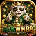 PAKWIN88