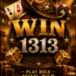 WIN1313