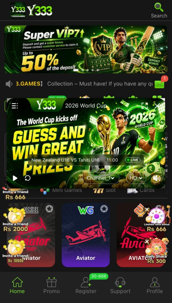 What is Y333