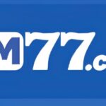 HM77