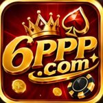 6PPP