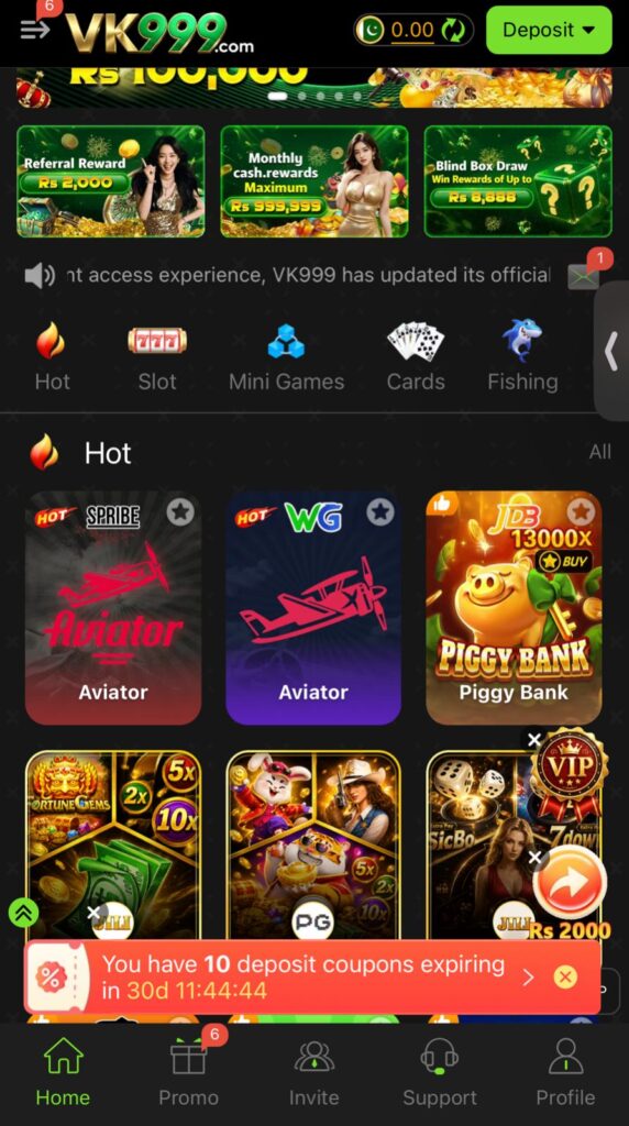 About VK999